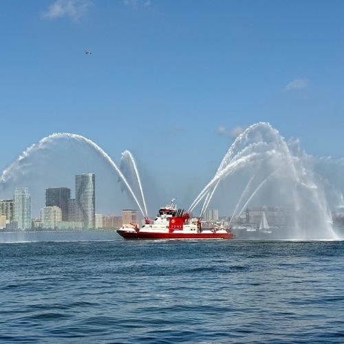 T2T views of the river